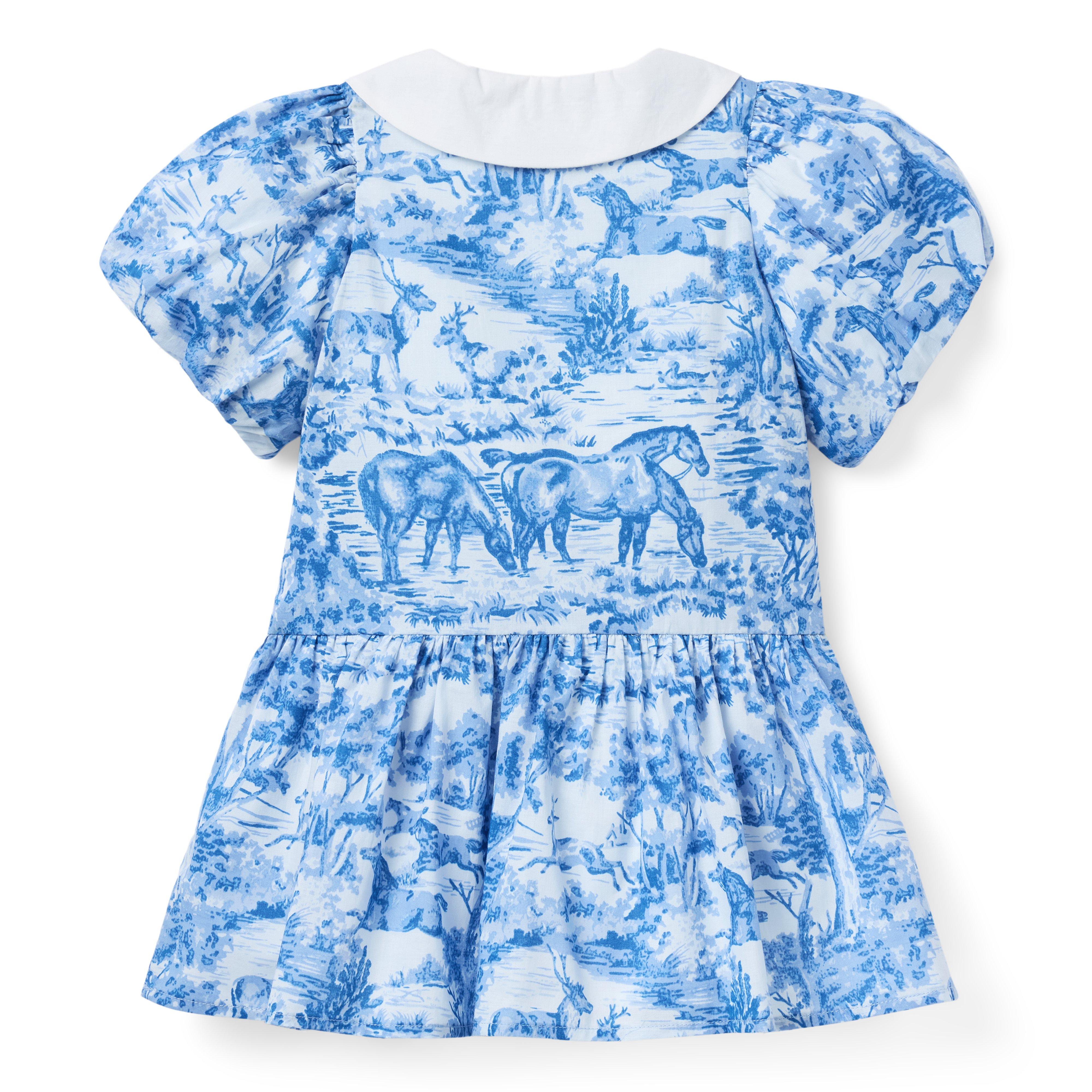 The Art of Toile Dress  image number 2