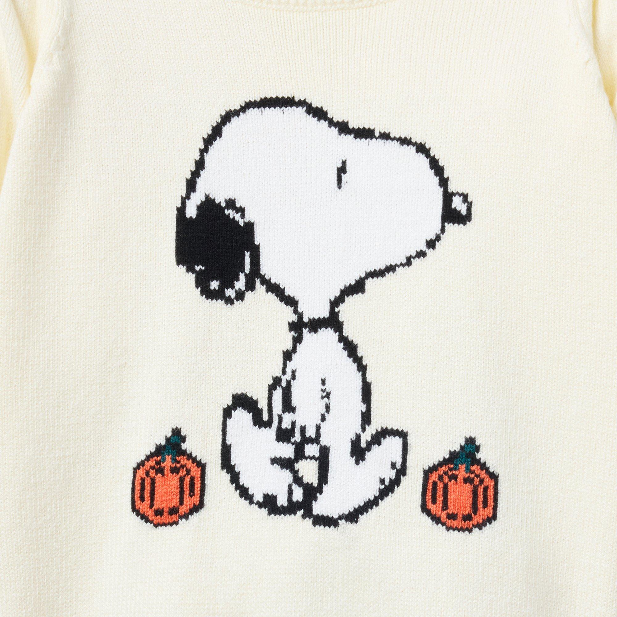 Peanuts Snoopy Pumpkin Sweater image number 1