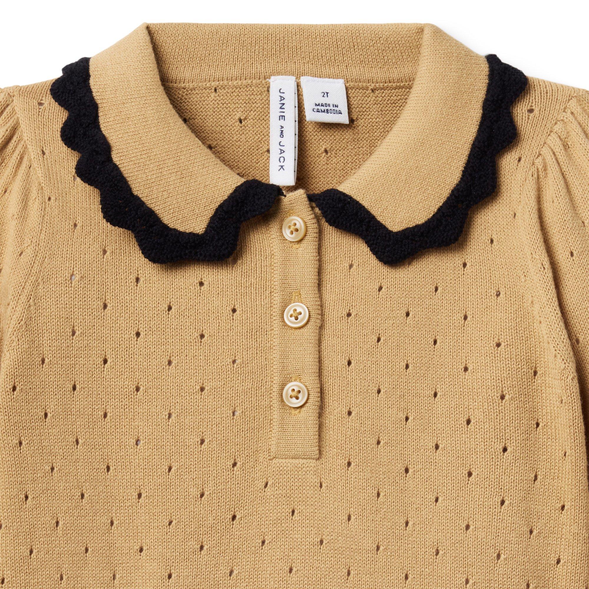 Pointelle Crochet Collar Sweater image number 1