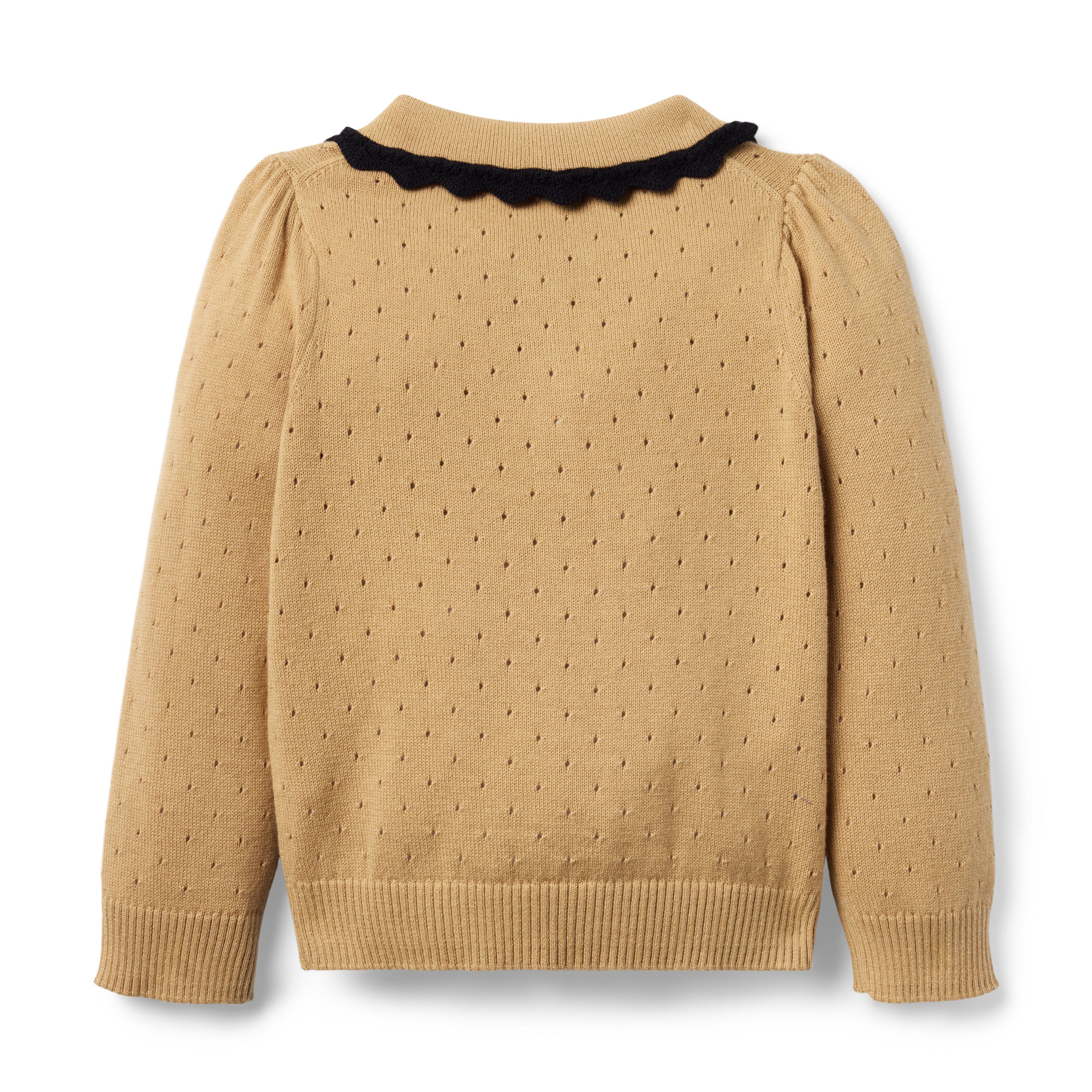 Pointelle Crochet Collar Sweater image number 2