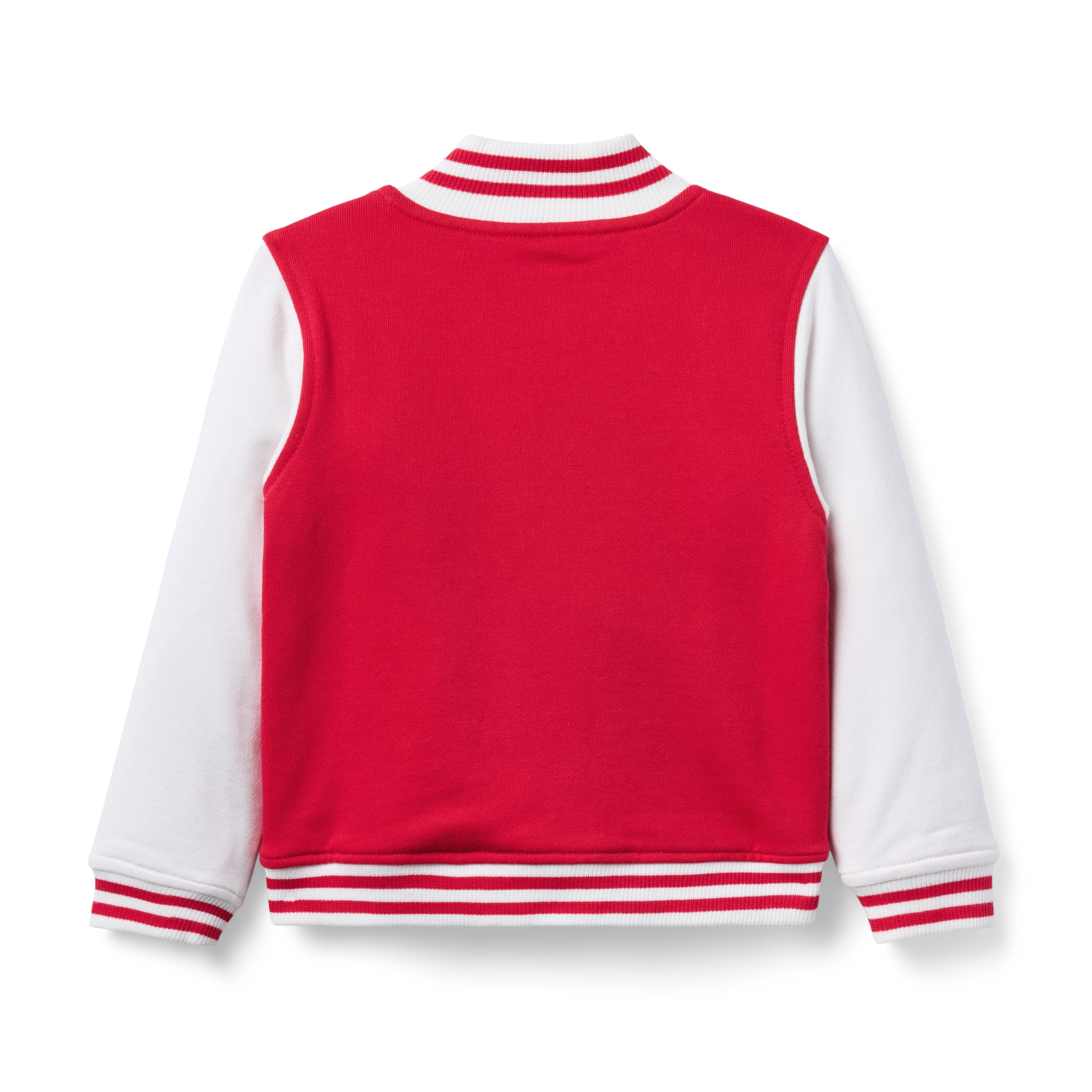 The Varsity Bomber Jacket image number 3