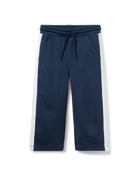 The Stripe Wide Leg Ponte Pant