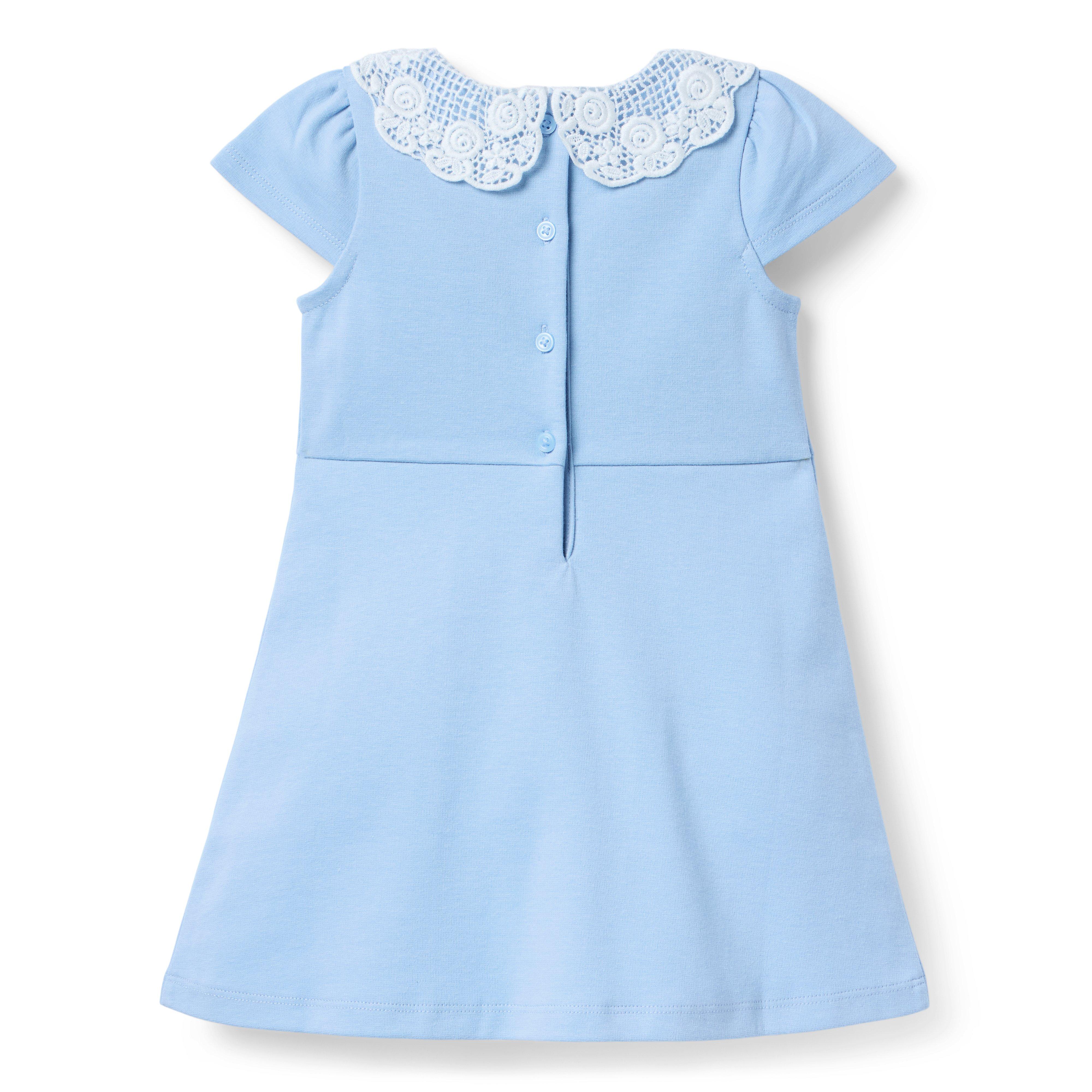 Lace Collar Ponte Dress image number 1