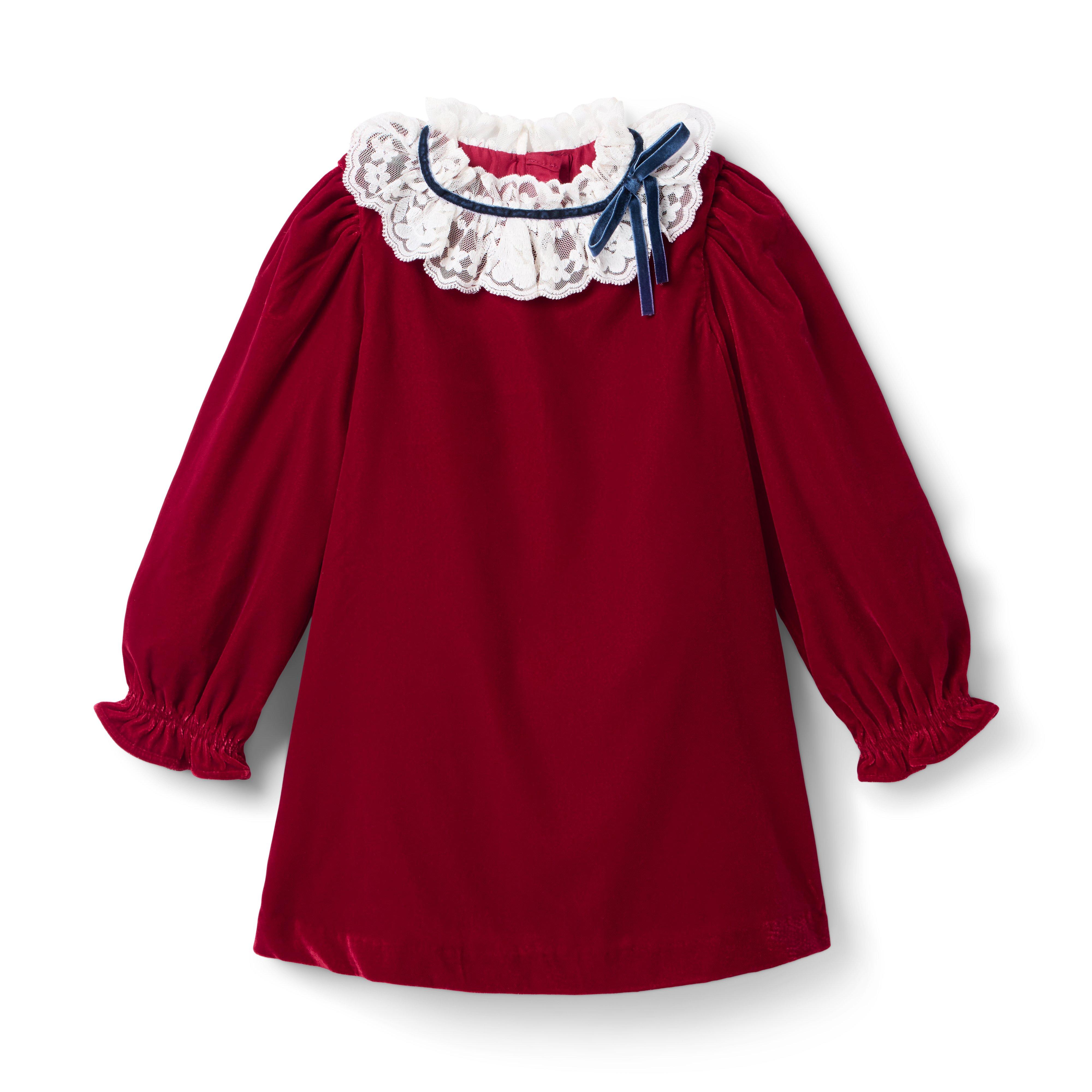 The Velvet Lace Collar Dress