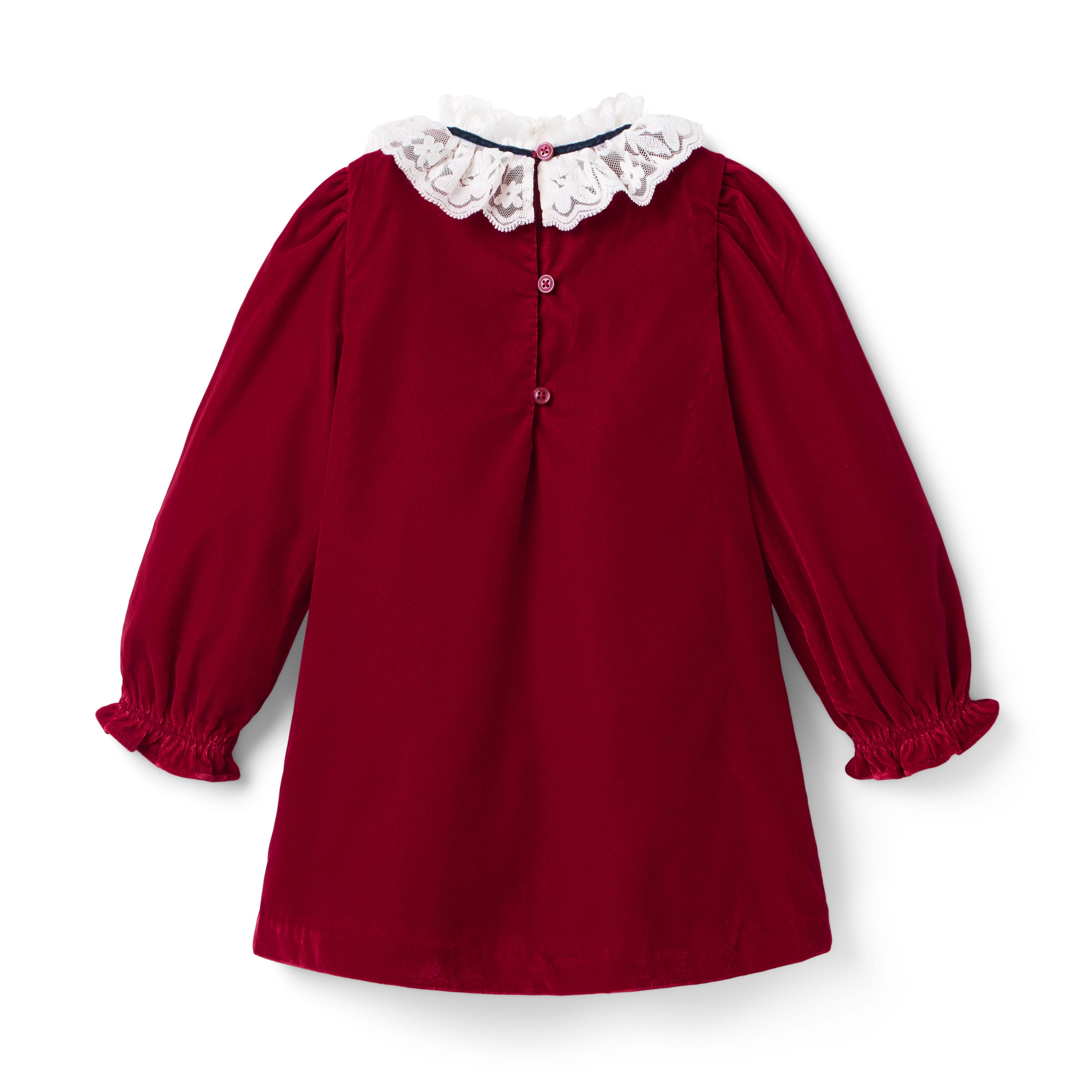 The Velvet Lace Collar Dress image number 2