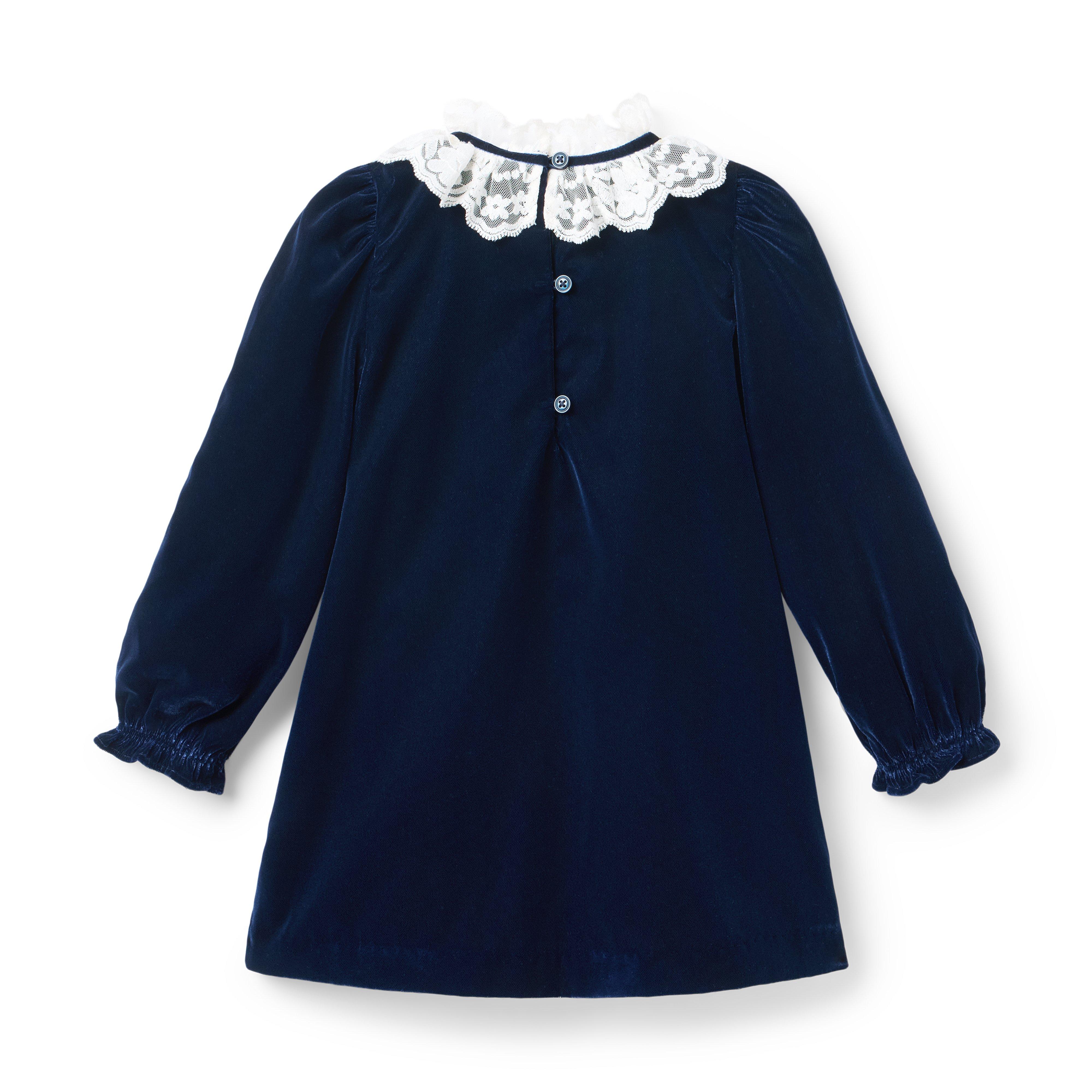 The Velvet Lace Collar Dress image number 2