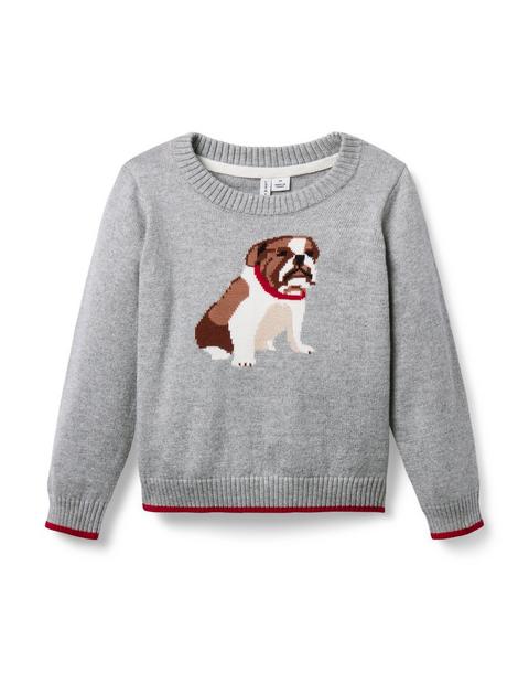 The Bulldog Sweater