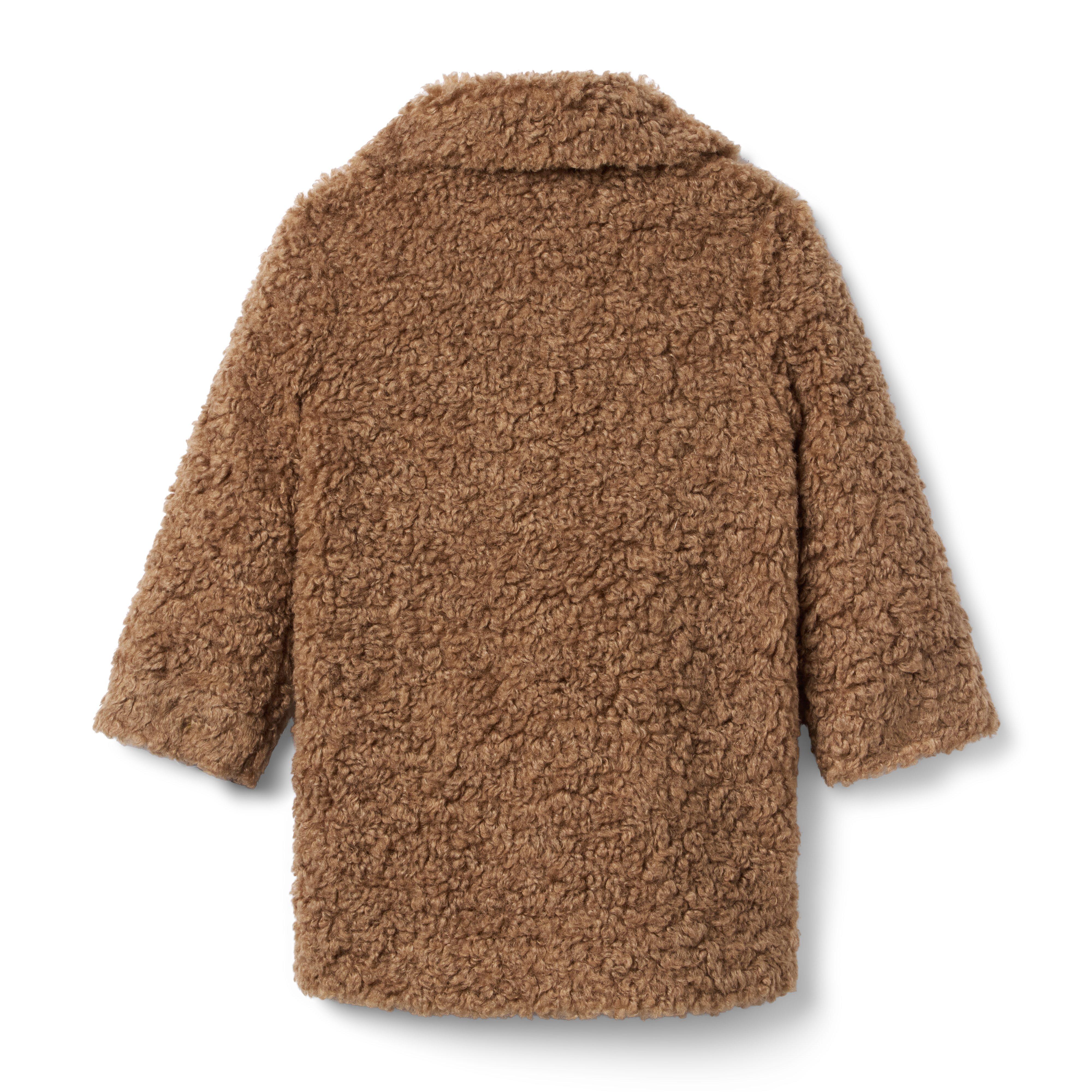 The Sherpa Teddy Coat image number 1