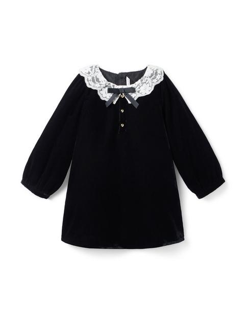 The Velvet Lace Collar Dress
