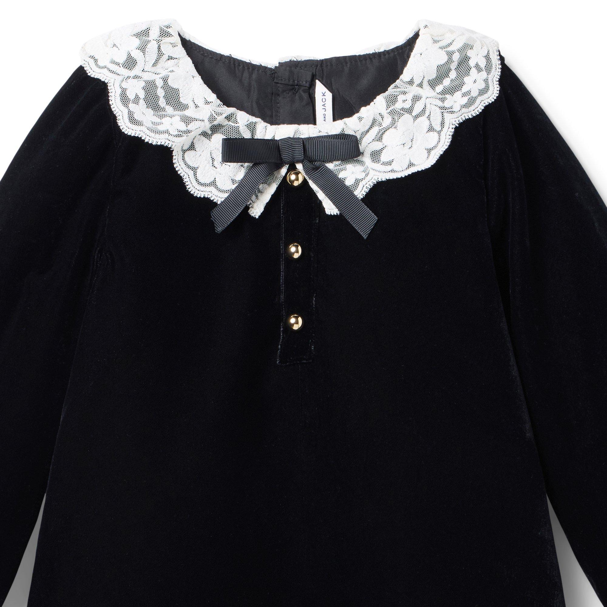 The Velvet Lace Collar Dress image number 1