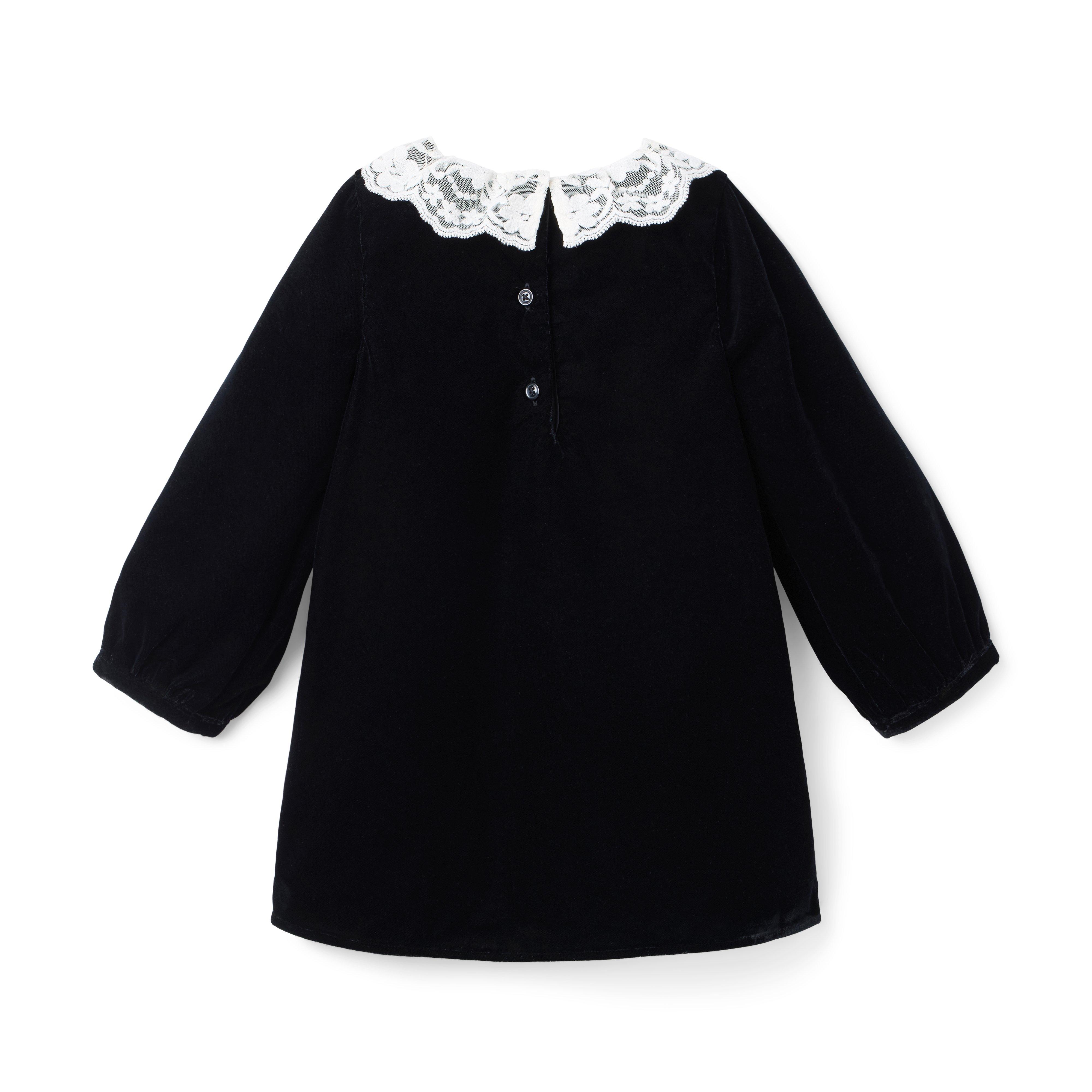 The Velvet Lace Collar Dress image number 2