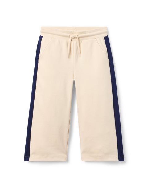 Wide Leg Stripe Ponte Pant