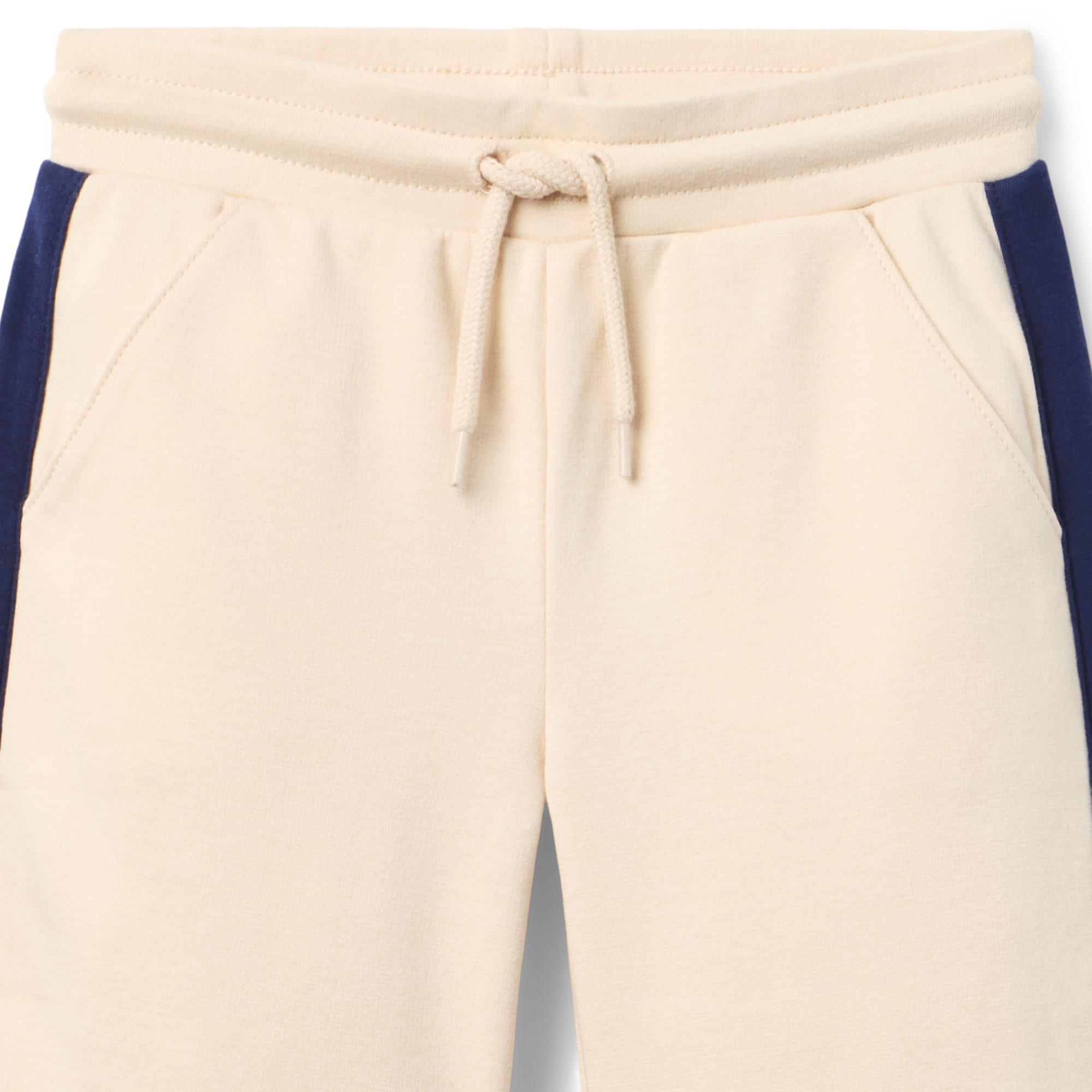 Wide Leg Stripe Ponte Pant image number 1