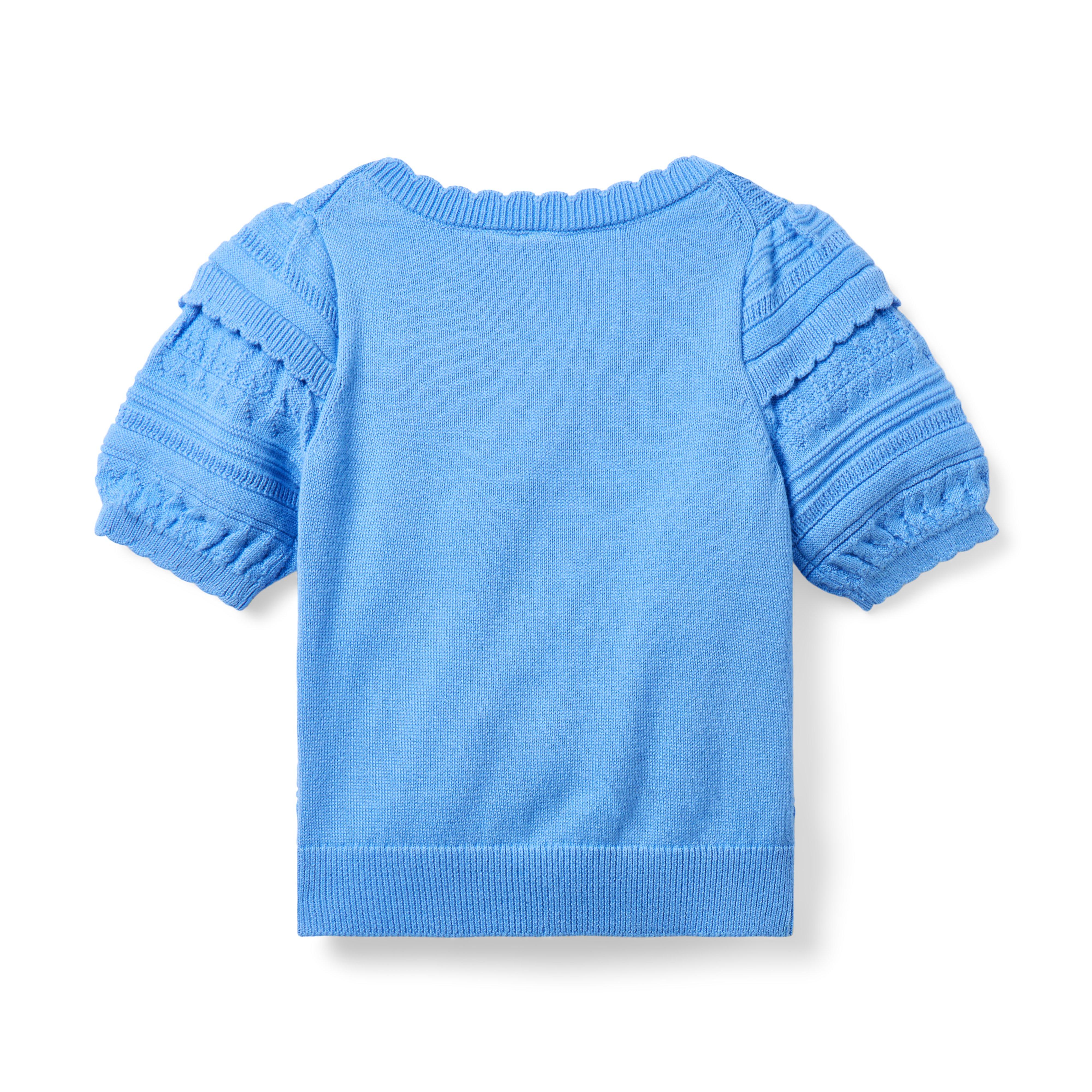 Textured Puff Sleeve Sweater Top image number 1