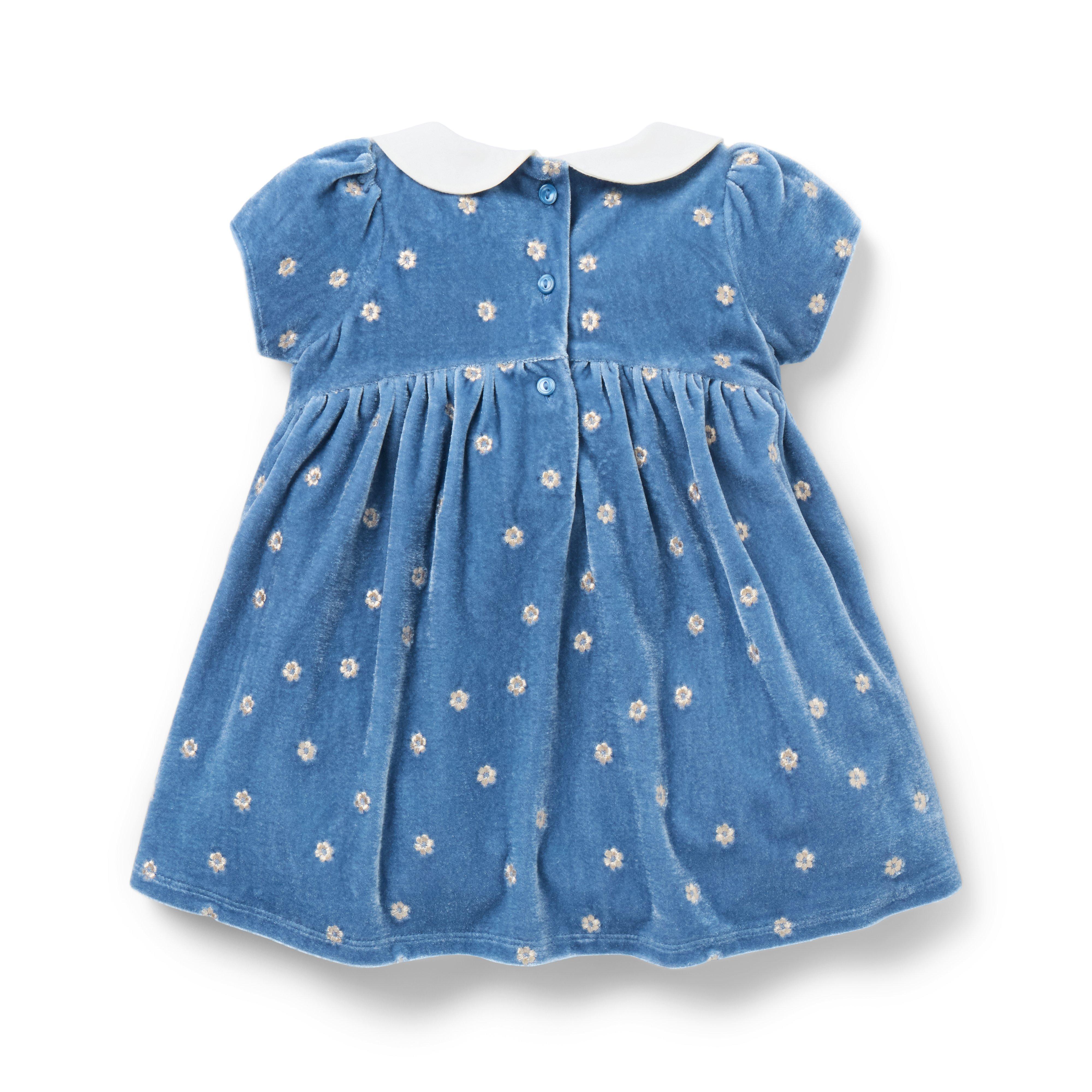Baby Embroidered Floral Velvet Dress image number 2