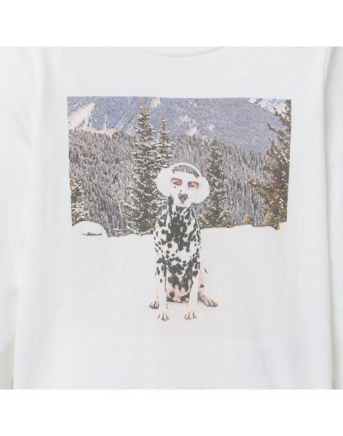 Gray Malin x Janie and Jack Snow Dog Tee