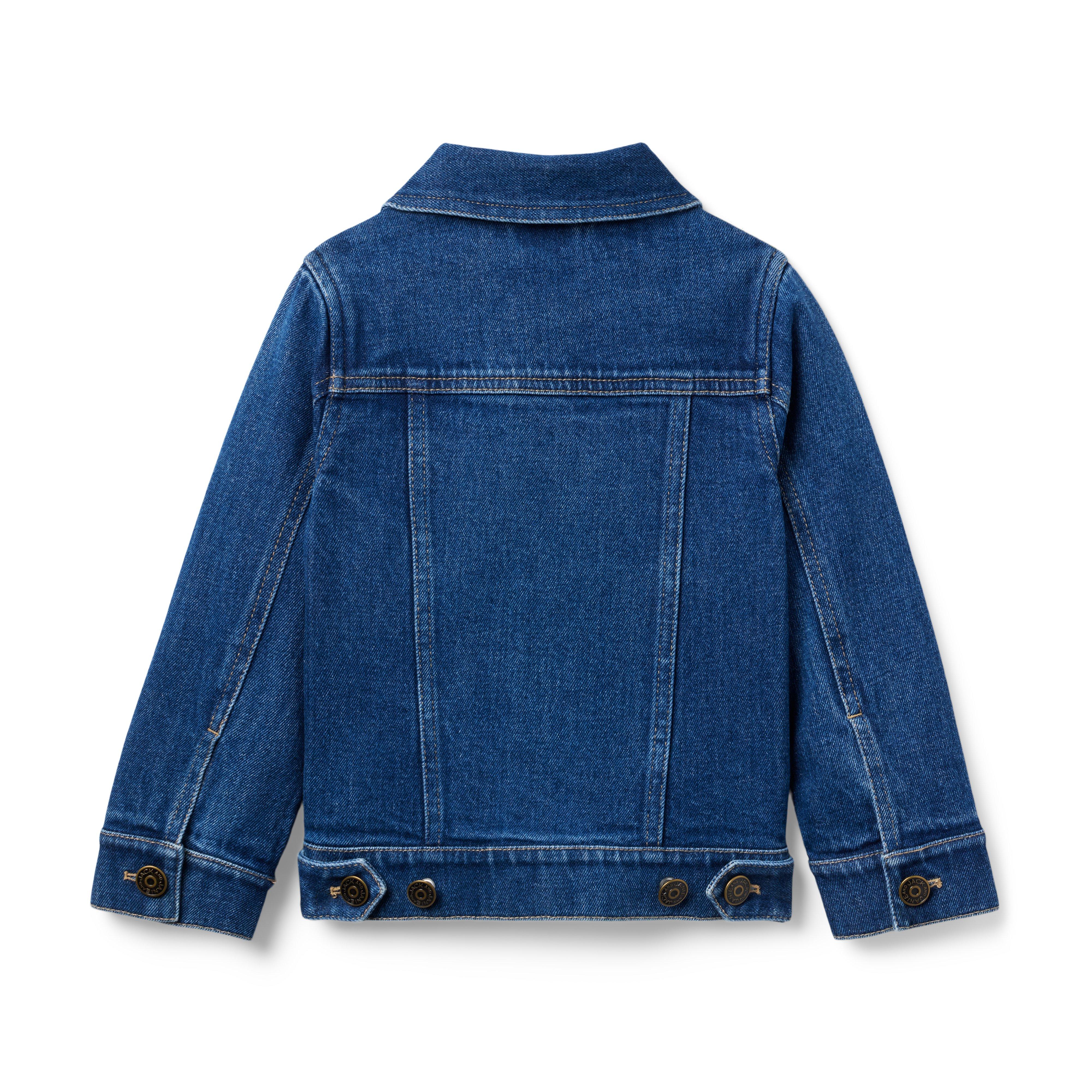 Denim Trucker Jacket image number 1