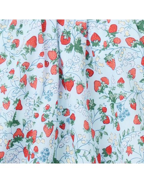 Baby Strawberry Floral Dress