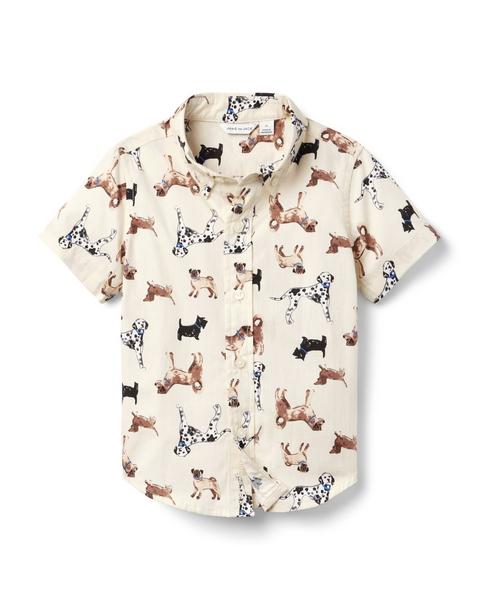 The Poplin Shirt