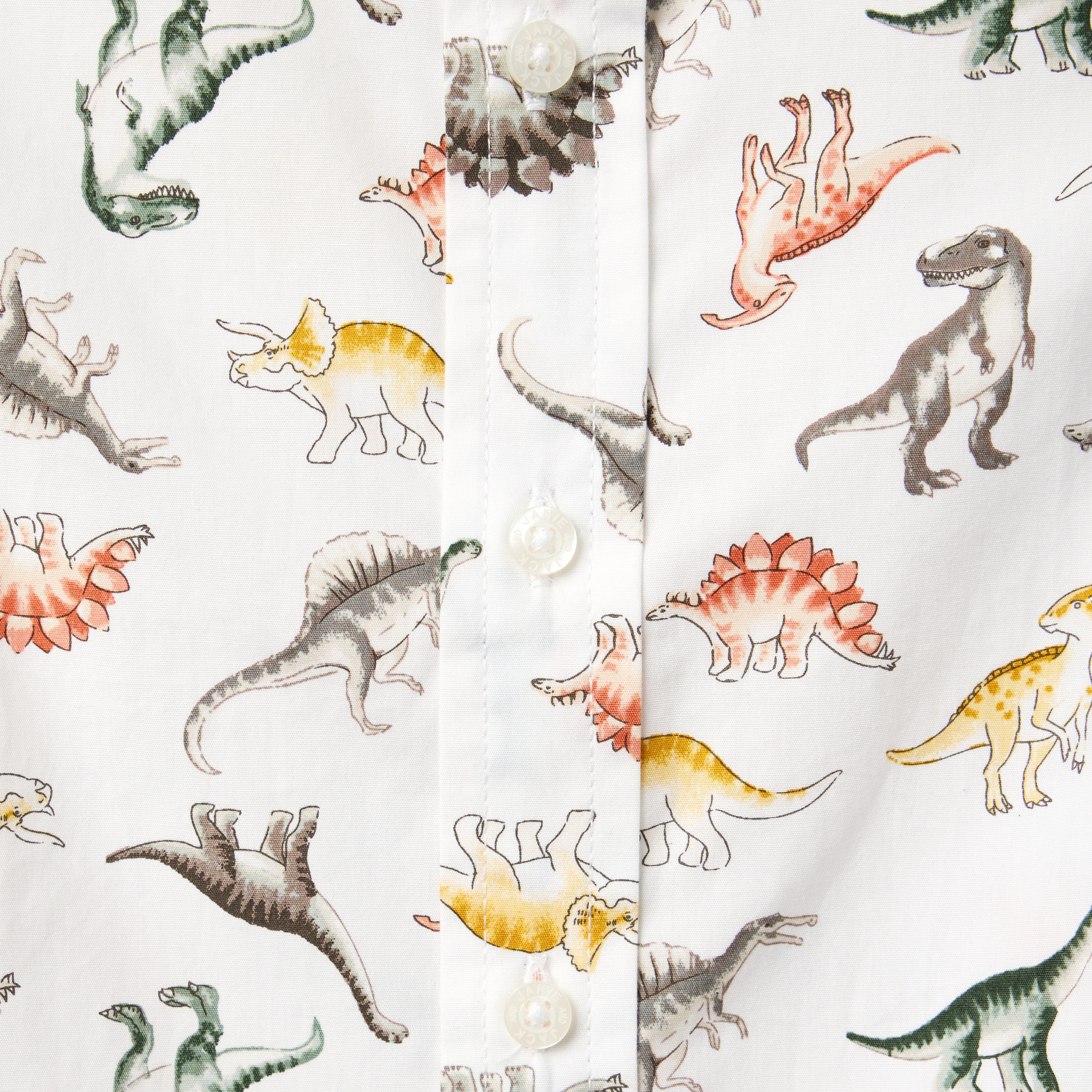 The Poplin Shirt image number 1