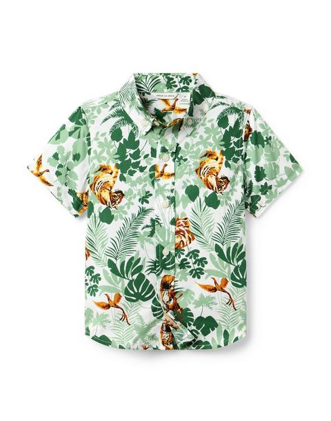 The Poplin Shirt