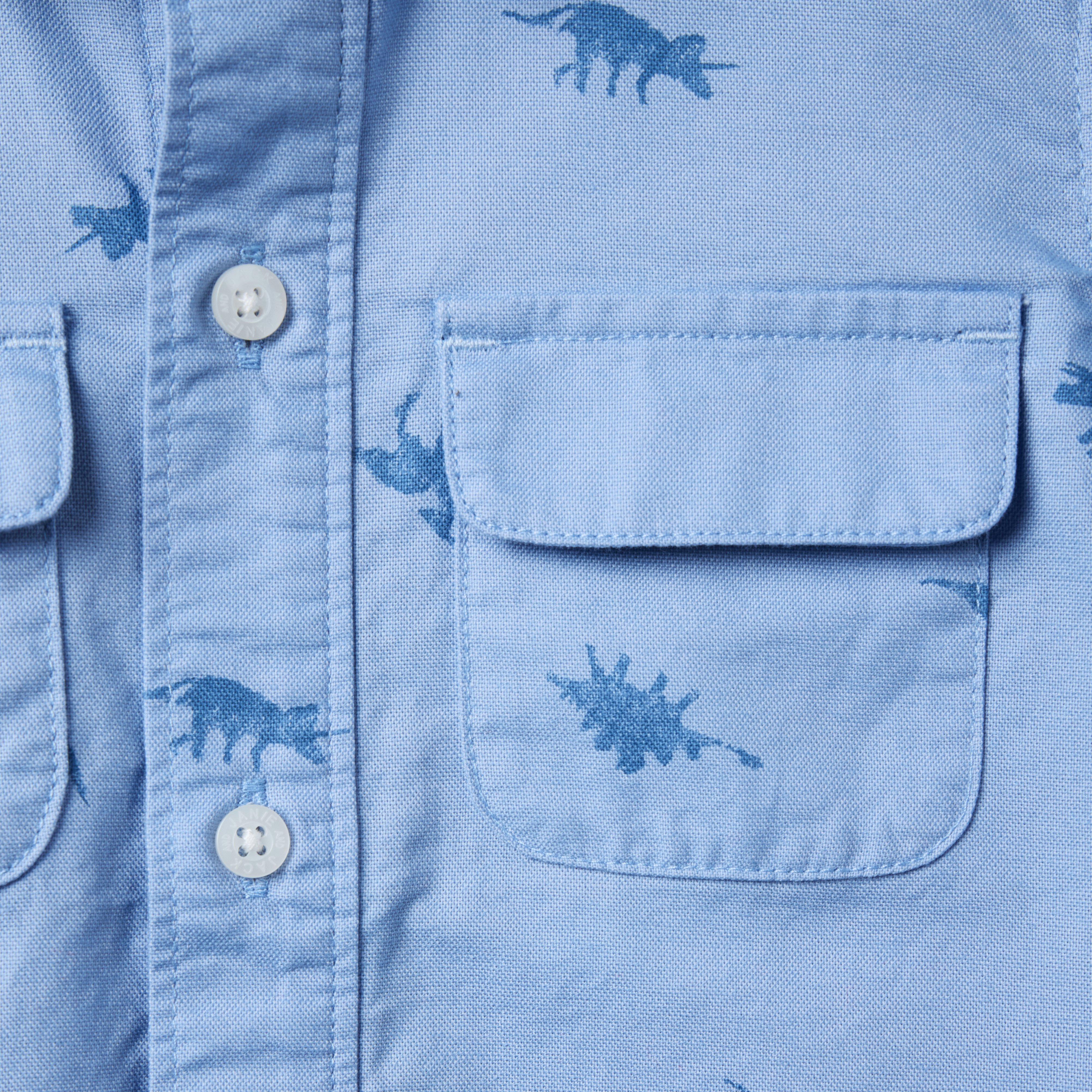 The Dinosaur Safari Shirt image number 1