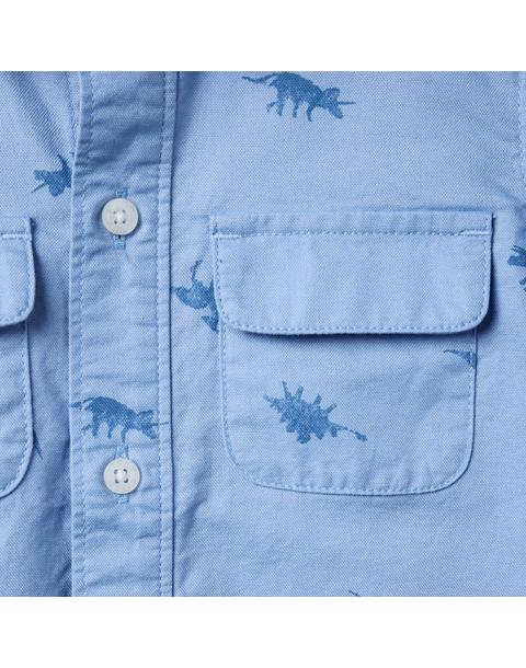 The Dinosaur Safari Shirt