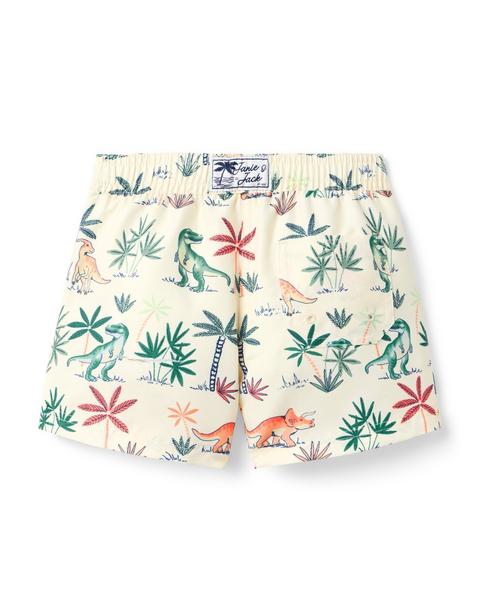 Recycled Dinosaur Swim Trunk