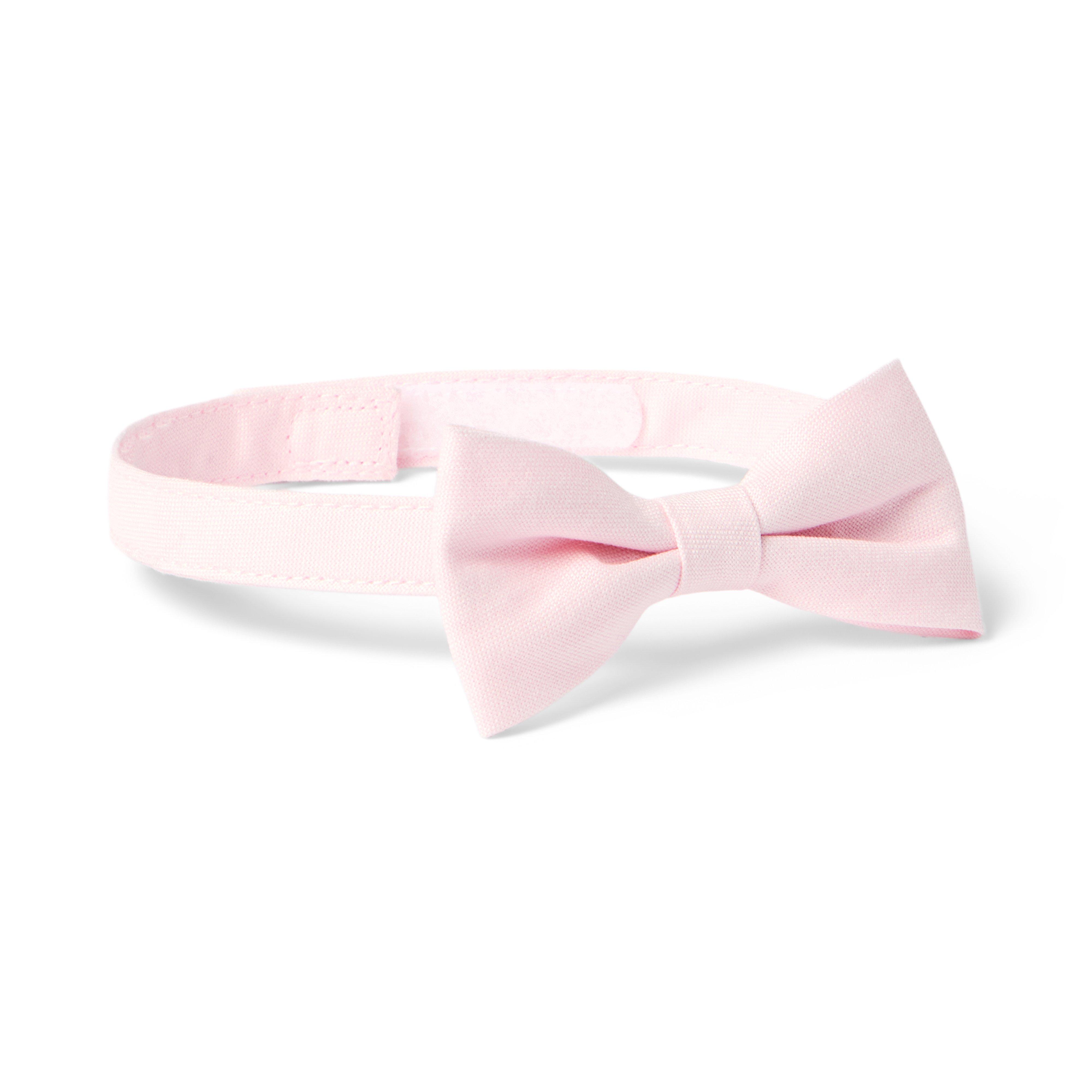 Oxford Bowtie