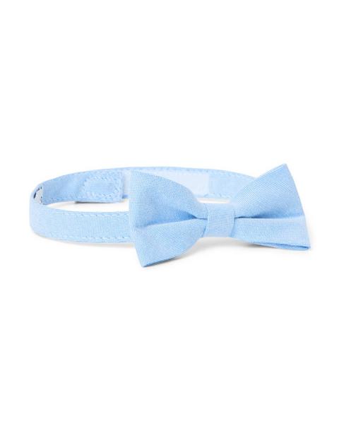Oxford Bowtie