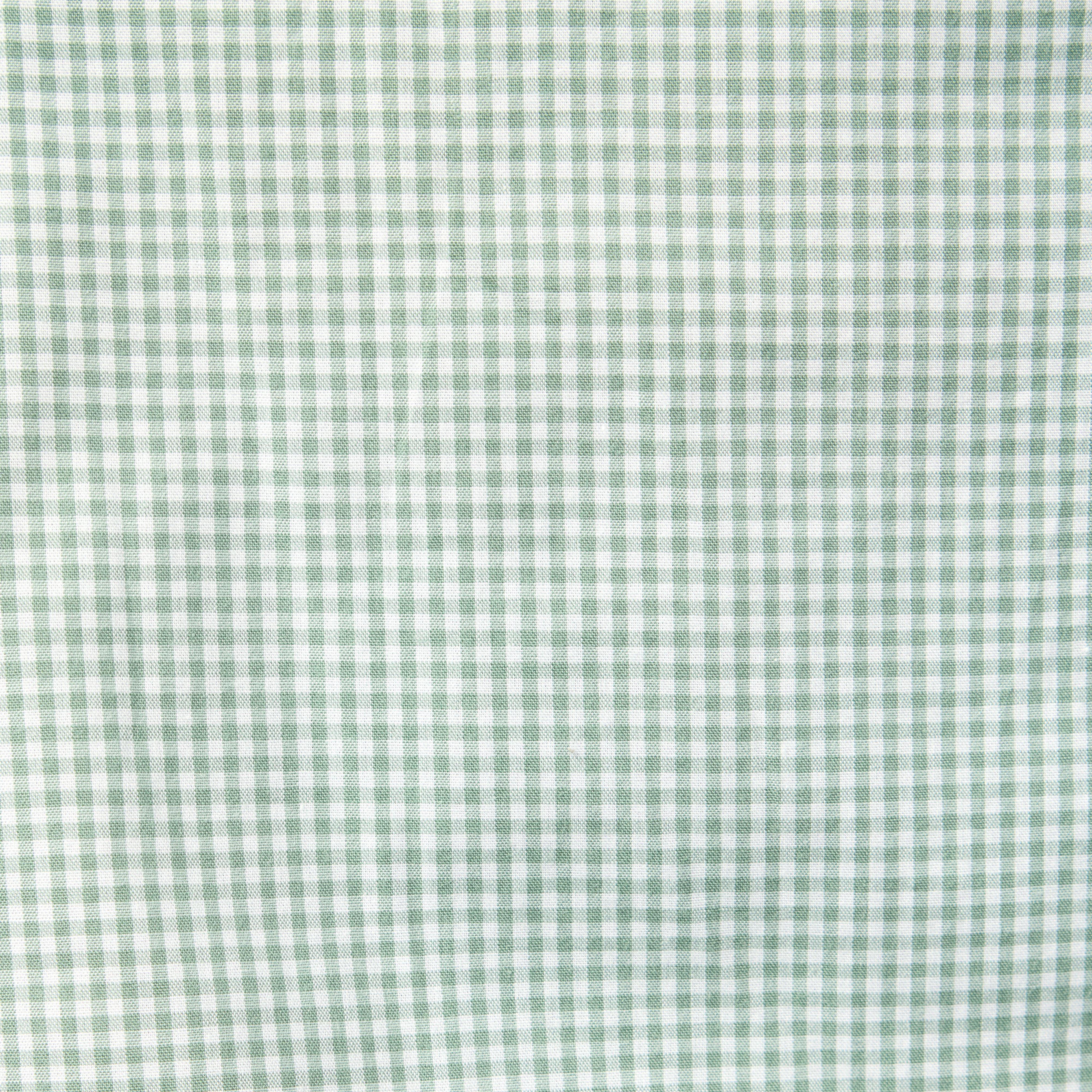 Gingham Poplin Shirt image number 1