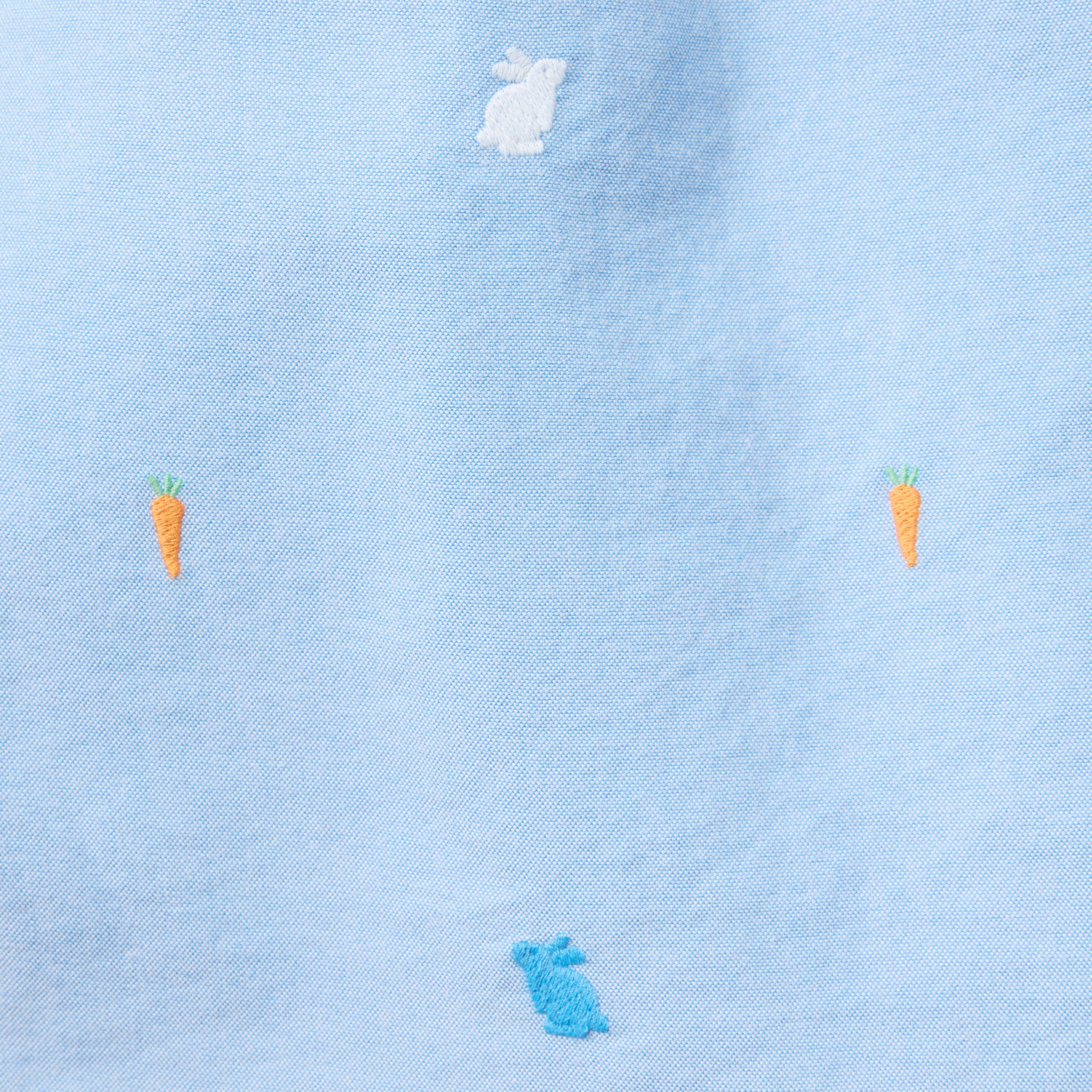 The Embroidered Bunny Oxford Shirt image number 1