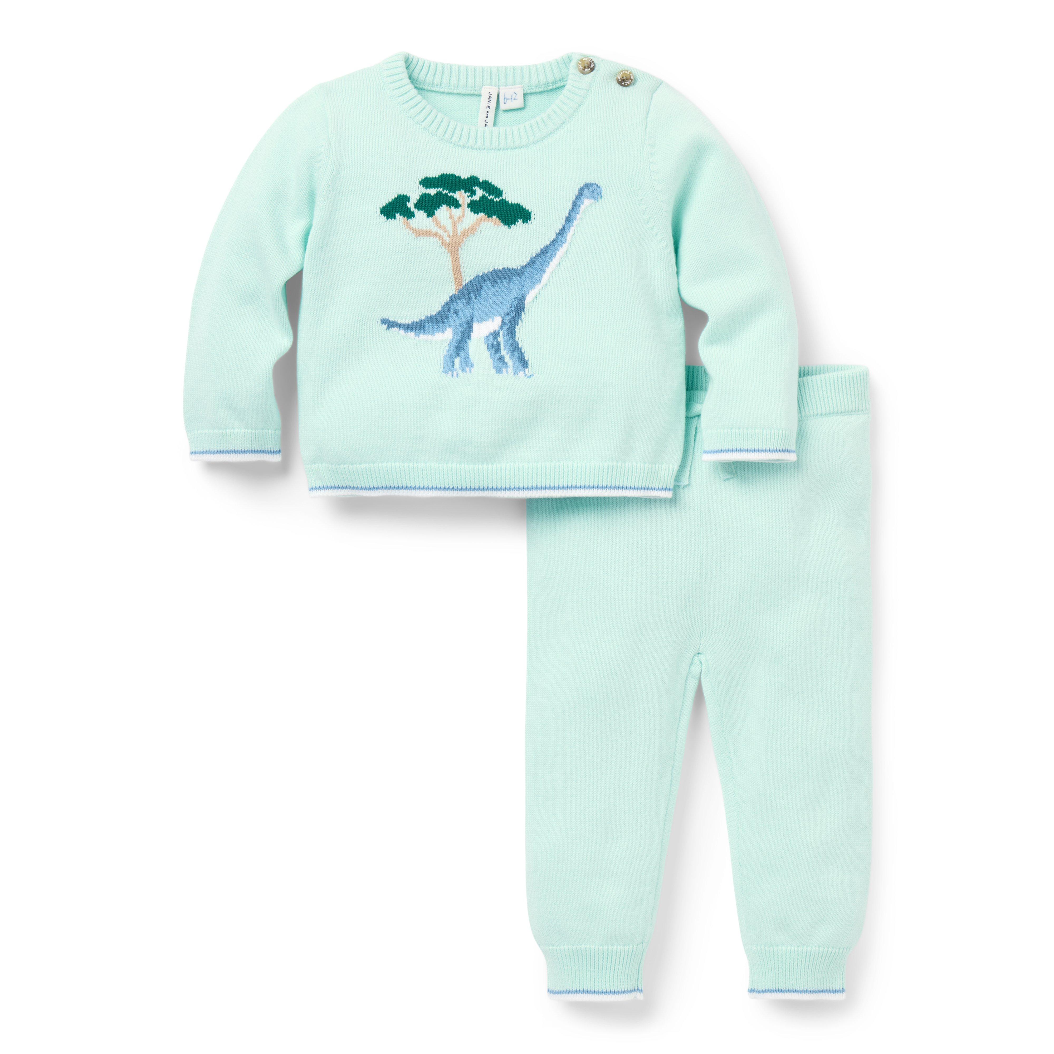 Baby Dinosaur Matching Sweater Set