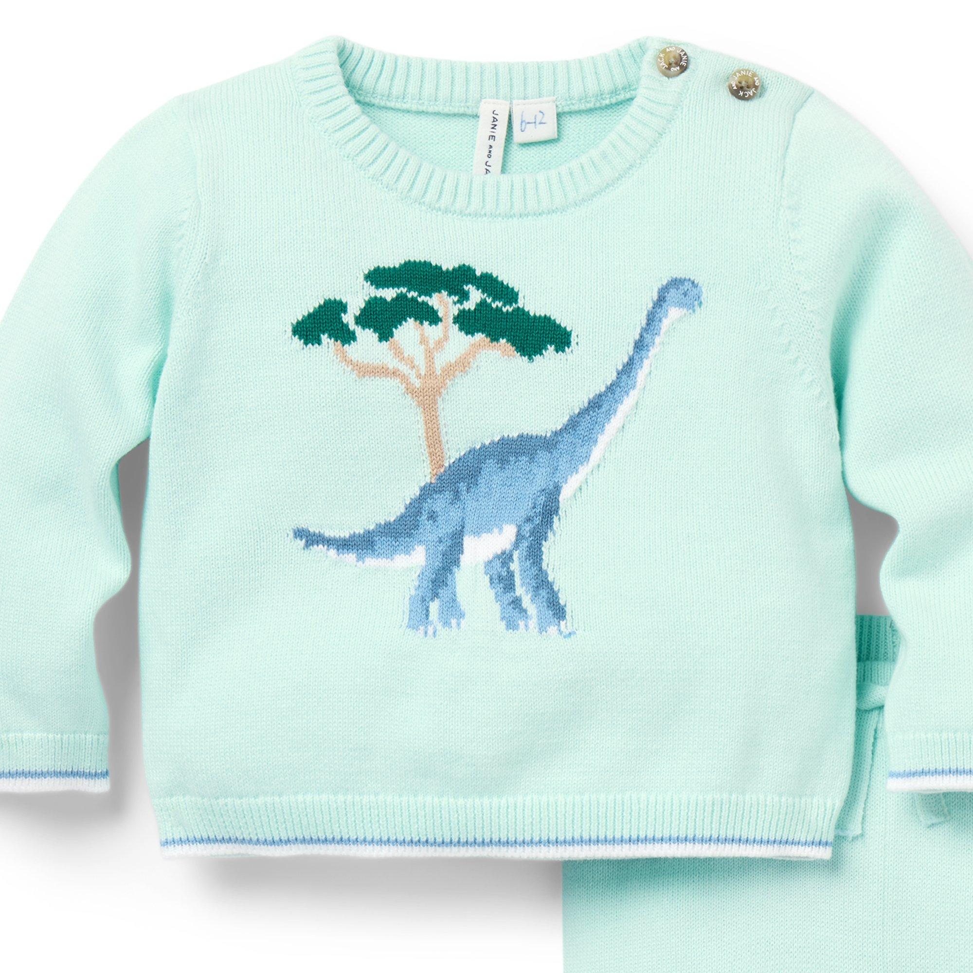 Baby Dinosaur Matching Sweater Set image number 1