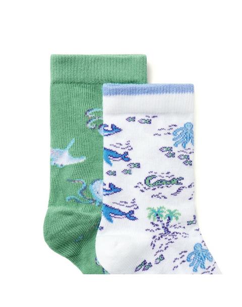 Pirate Ship And Sea Friends Sock 2-Pack