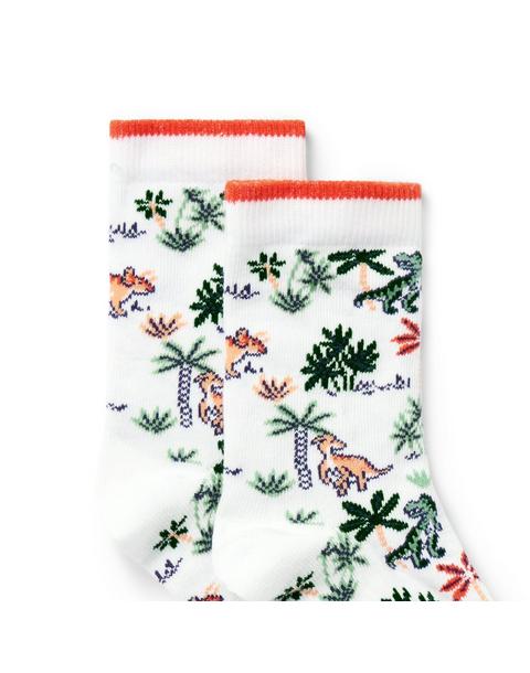 Dinosaur Sock