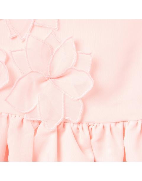 The Organza Occasion Dress