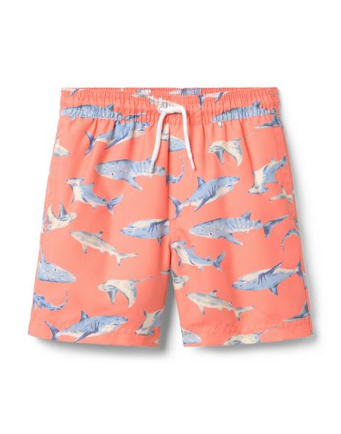 Recycled Shark Swim Trunk