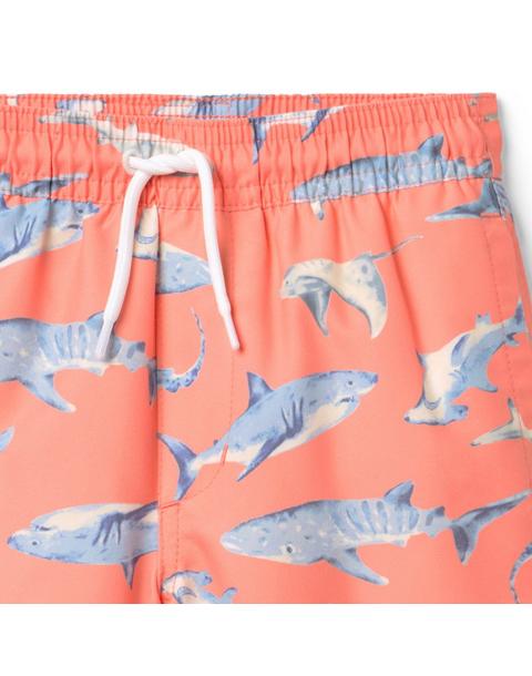 Recycled Shark Swim Trunk