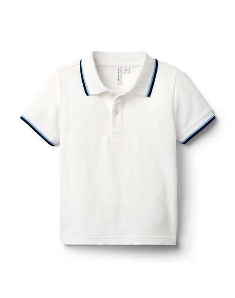 The Stripe Trim Polo