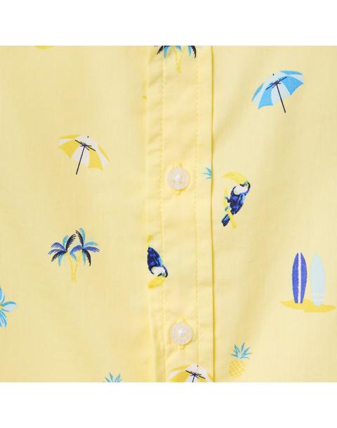 The Poplin Shirt