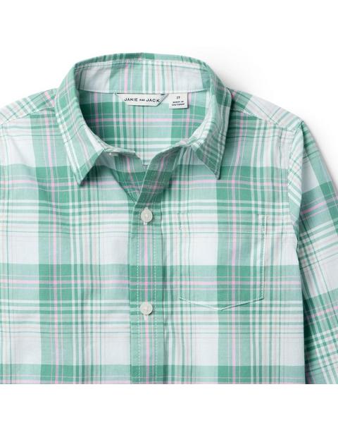 The Plaid Shirt