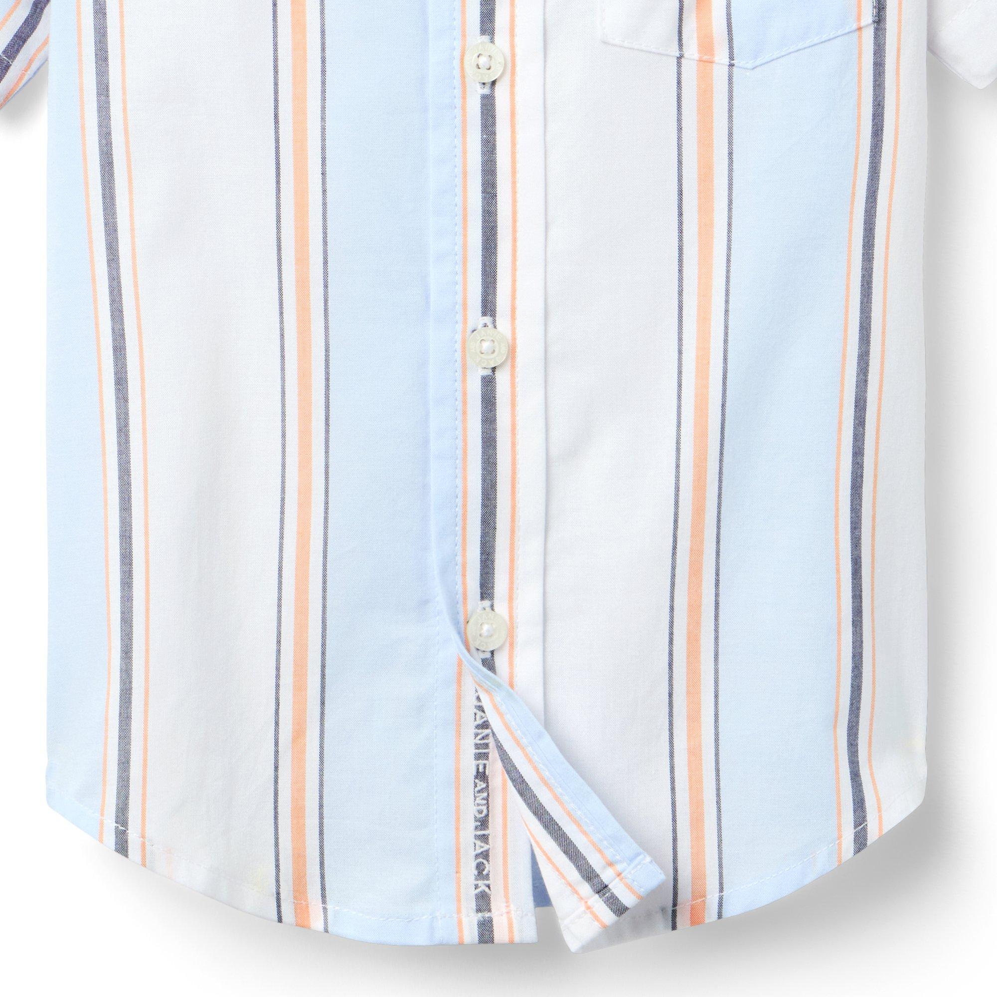 The Striped Shirt image number 1