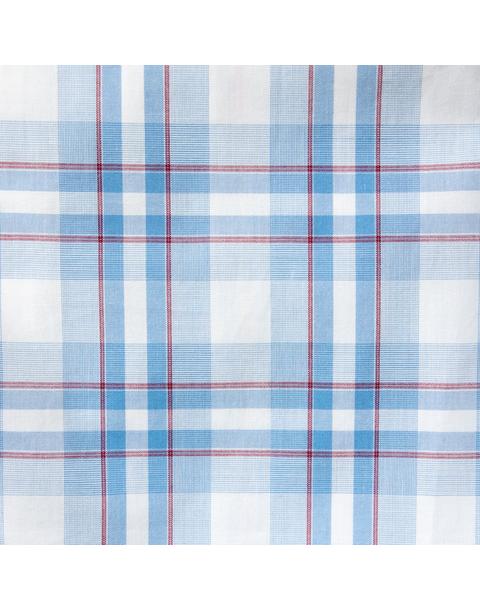 The Poplin Shirt