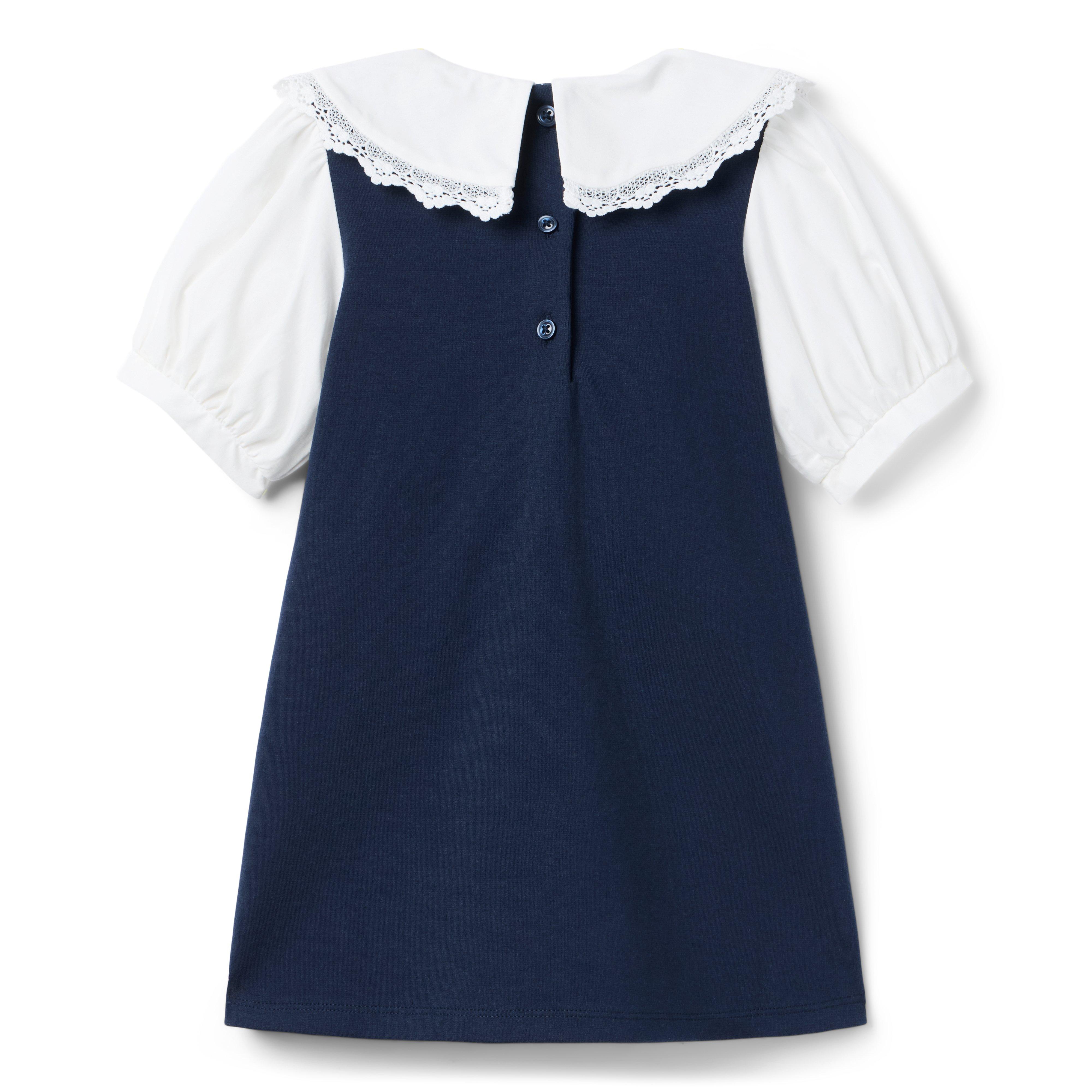 Lace Trim Collar Ponte Dress image number 1
