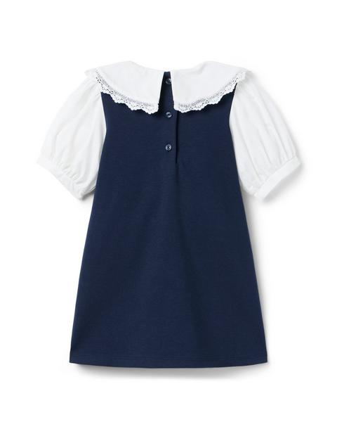 Lace Trim Collar Ponte Dress