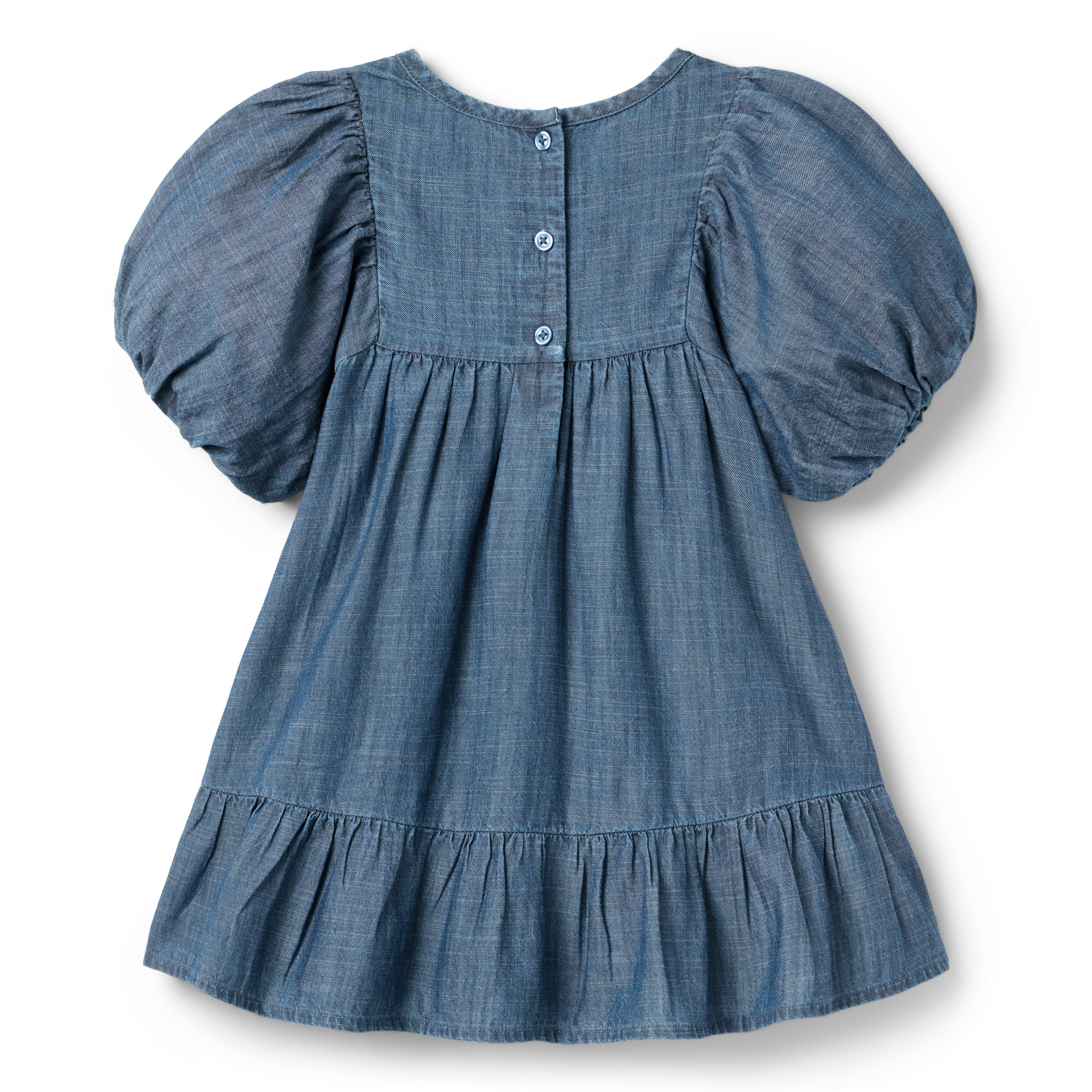 The Embroidered Denim Dress