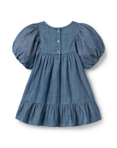 The Embroidered Denim Dress