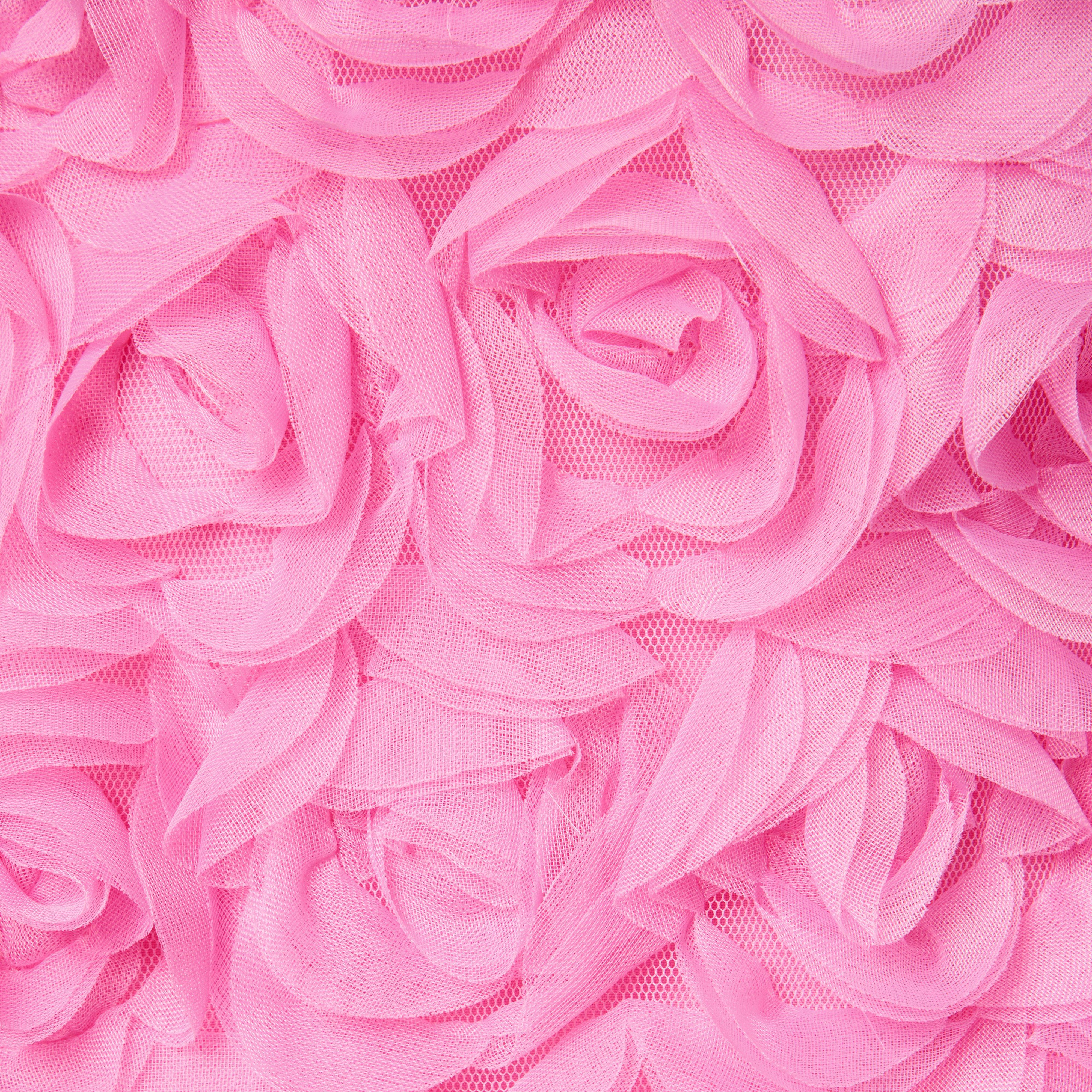 The Rosette Tulle Dres image number 1