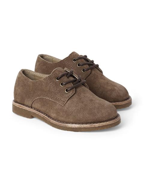 The Suede Derby Shoe - Coffee Brown